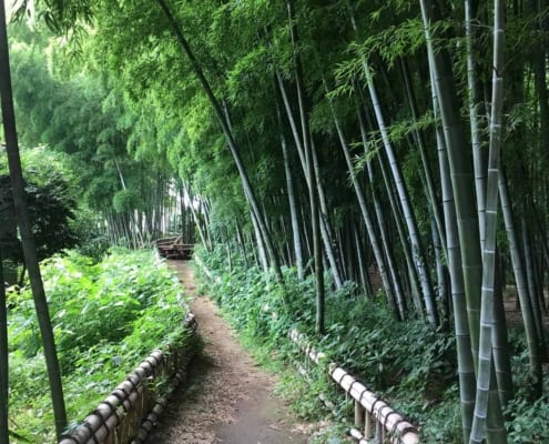 Higashikurumeshi Chikurin Park, Tokyo