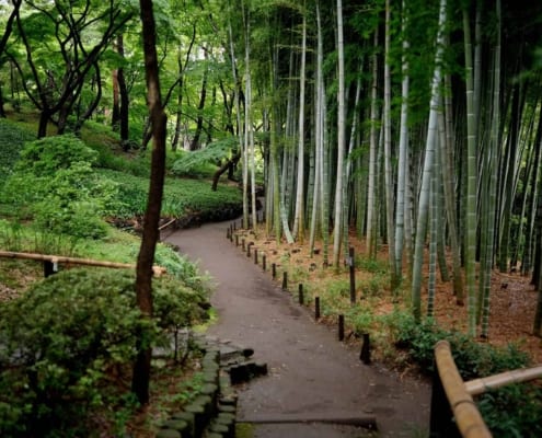 Tonogayato Garden, Tokyo