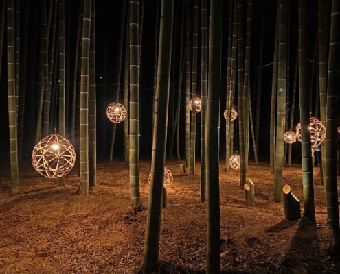 Four Seasons Bamboo Forest Wakayama Farm, Tochigi