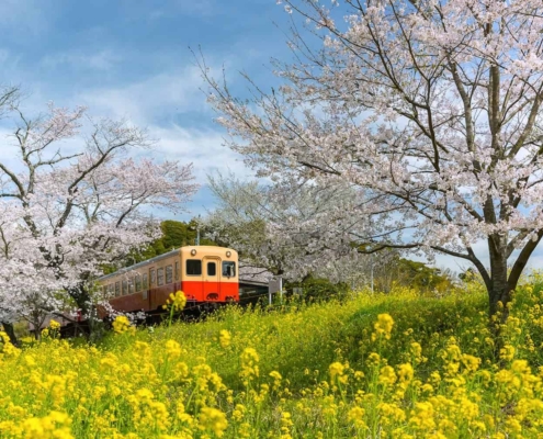 The Kominato Tetsudo - Railway