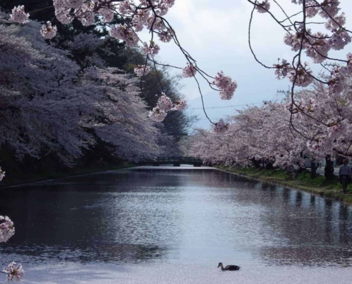 Hirosaki Castle in Aomori