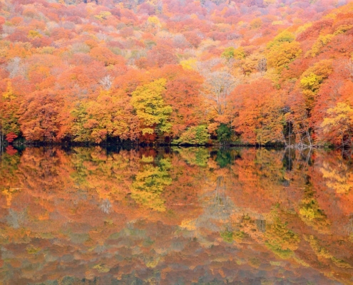 The mystical Lake Towada