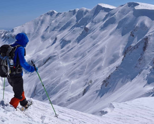 Skiing in Yuzawa