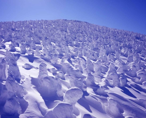 The Snow Monsters of Mount Zao