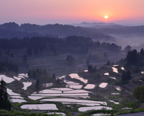 Hoshitoge Senmaida, Niigata