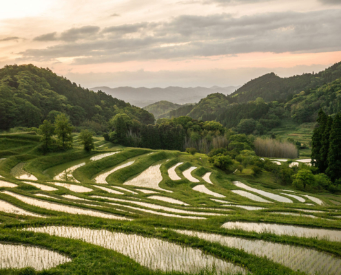 Oyama Senmaida, Chiba