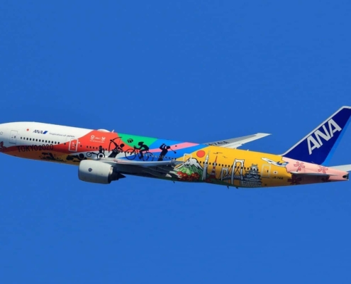 ANA flight